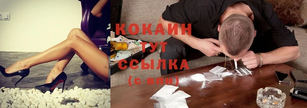 крисы Абаза