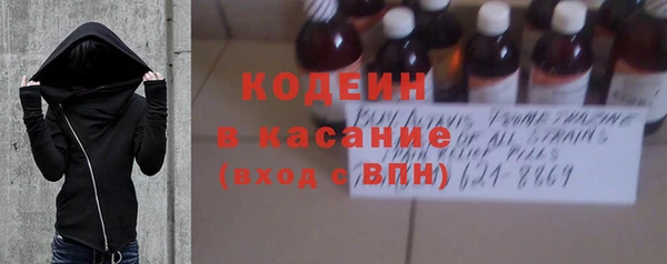 хмурый Алексин