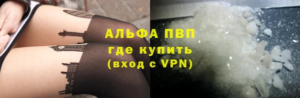 крисы Абаза