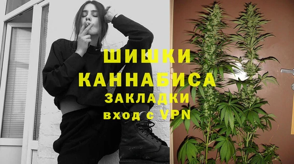 крисы Абаза