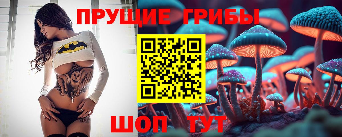 Псилоцибиновые грибы MAGIC MUSHROOMS  Вход с VPN  Шахты  Псилоцибиновые грибы Cubensis 