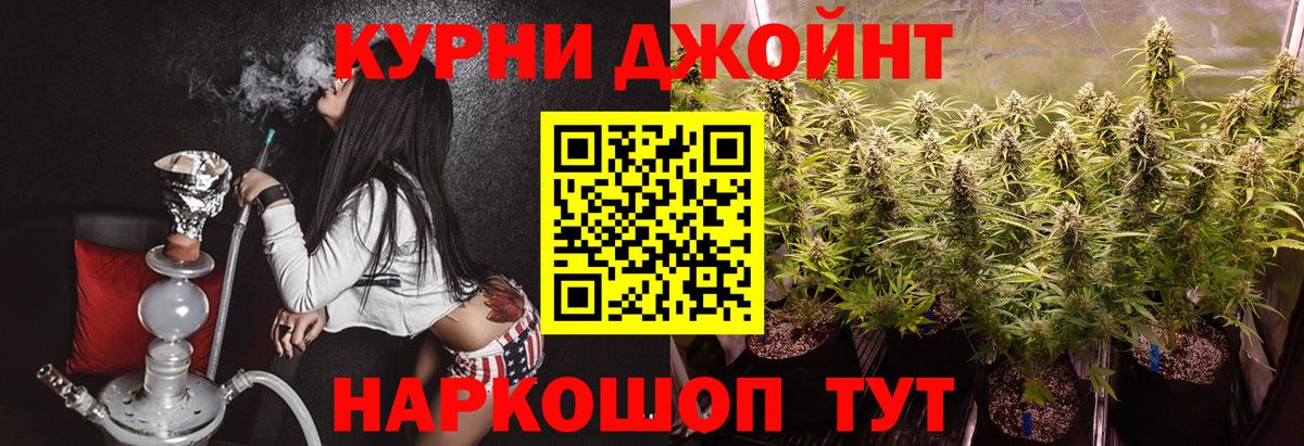 Канабис конопля Шахты